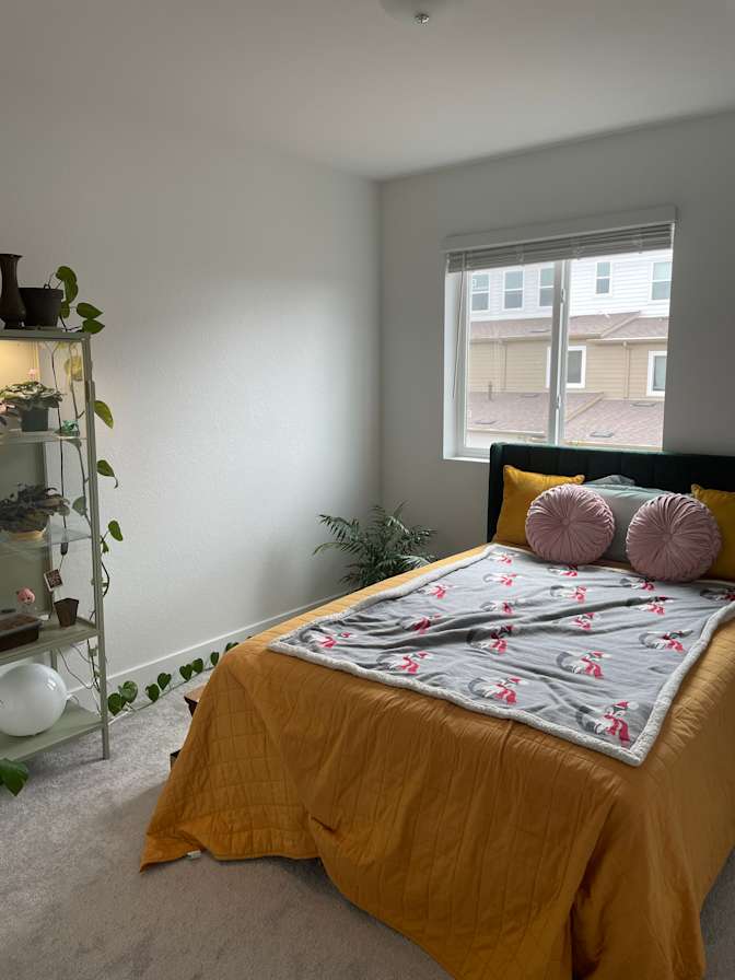 Megha's room