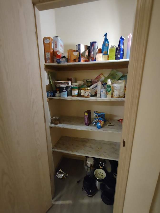 Sophia Peterson's room