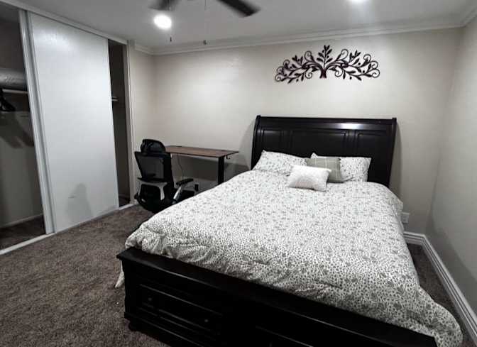 Pat's room