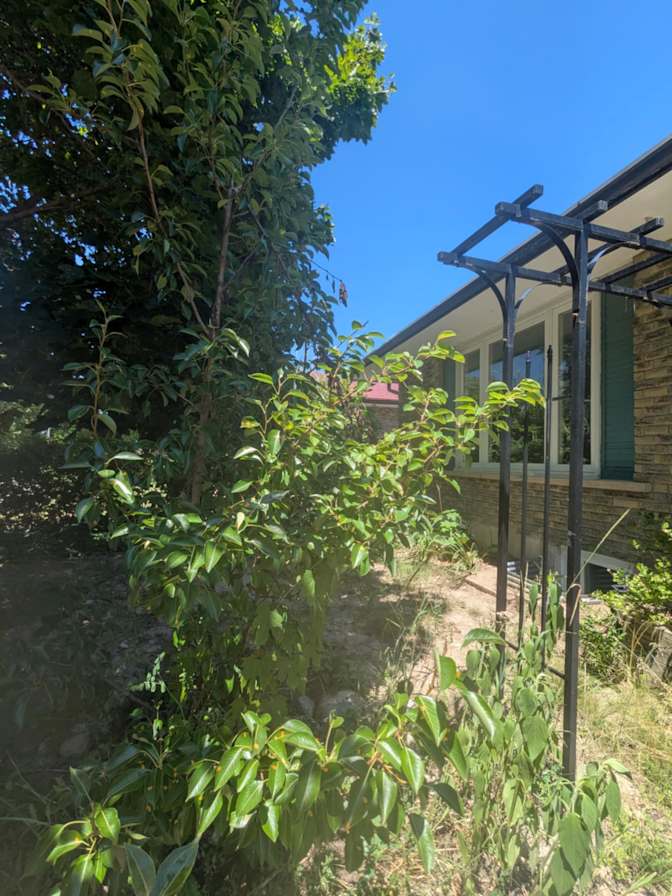 NICOLA THOMAS's room