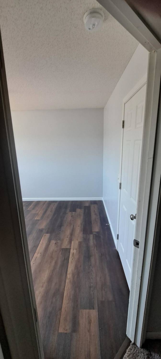 Estrellitafd's room