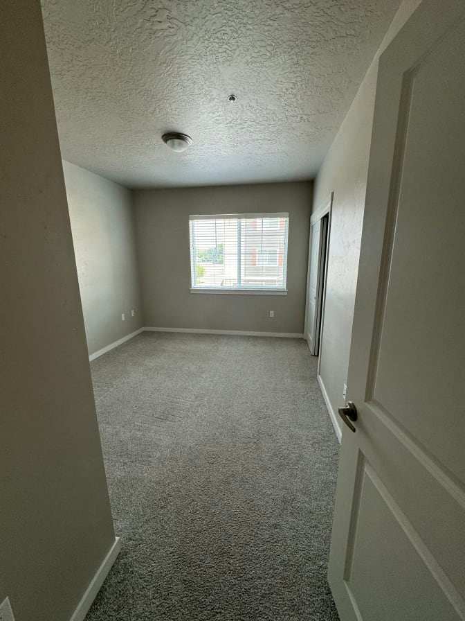 Sarah's room