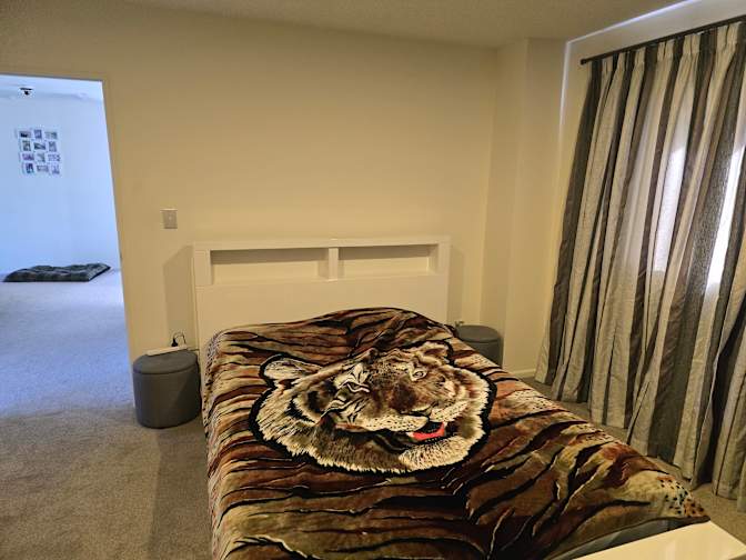 Beta Lucky's room