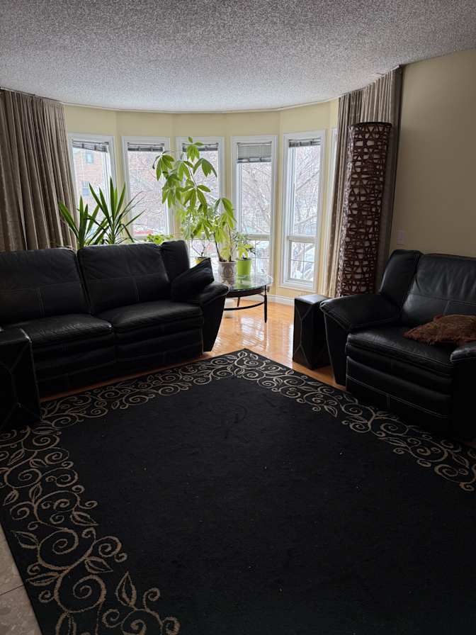 David's room