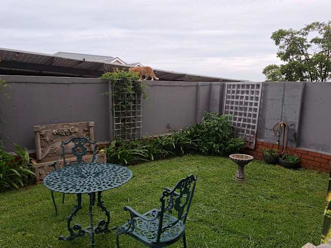 Debbie Mocke's room