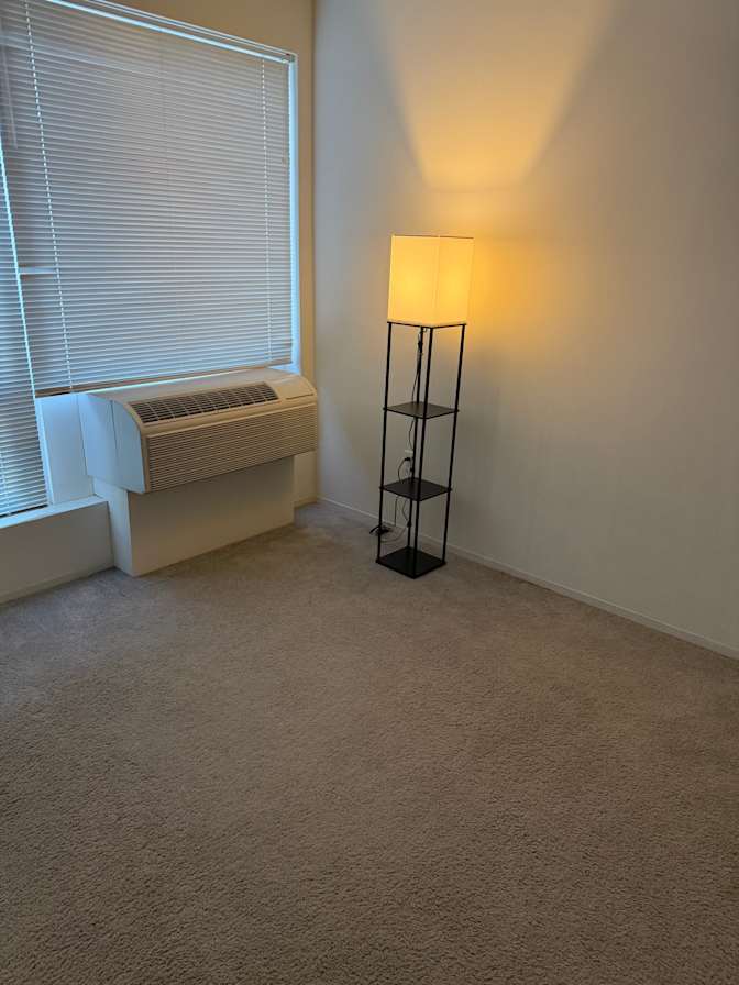 Mark Feldman's room