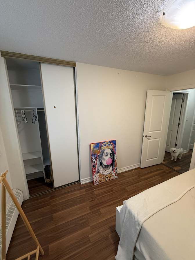 Dmitry's room