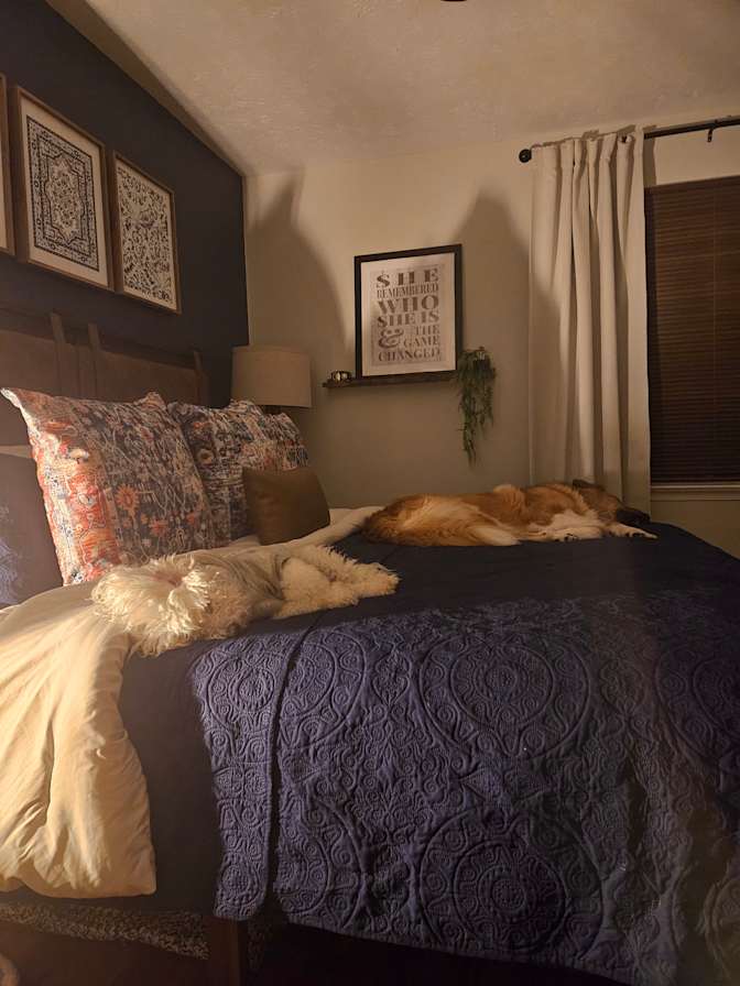 Andrea's room