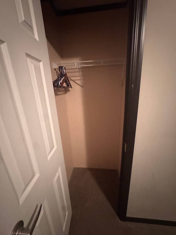 Shelly's room