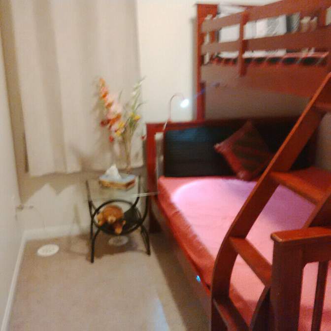 Shaheen's room