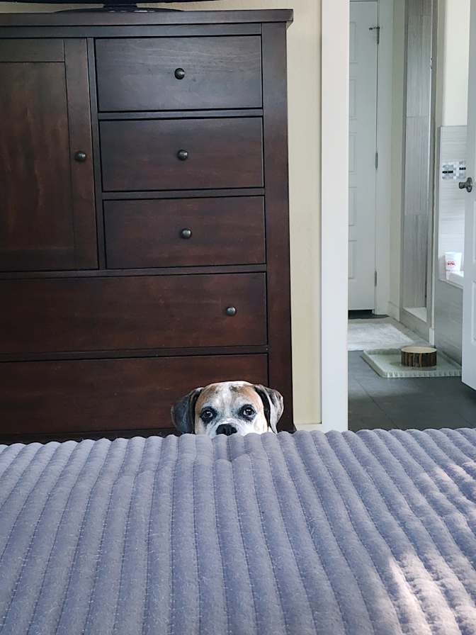 Erin's room