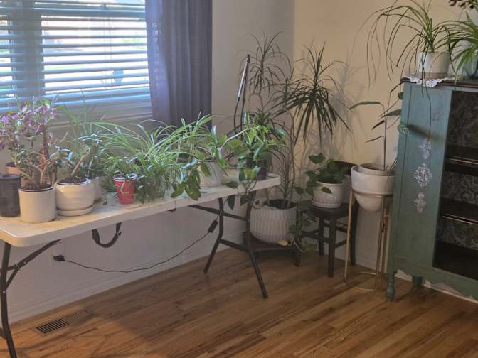 Jeffrey Dolan's room