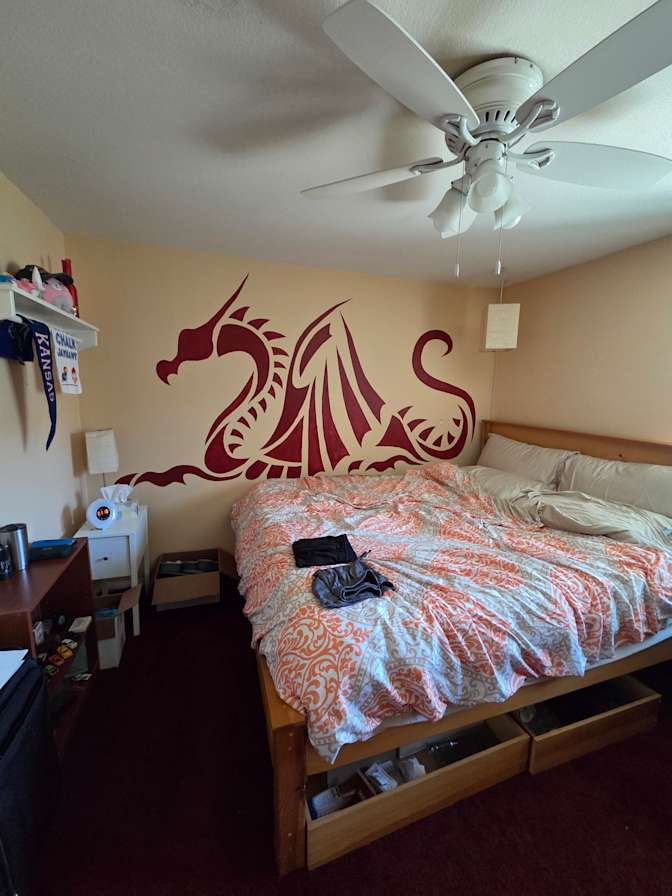 Kristan's room