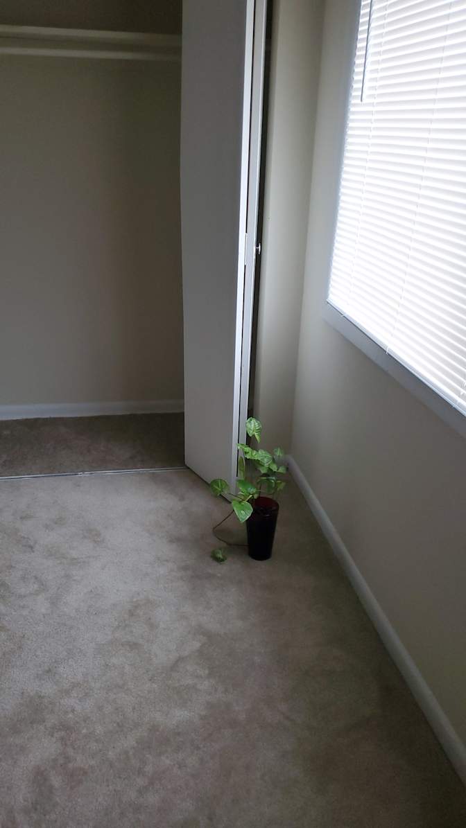 Horty's room