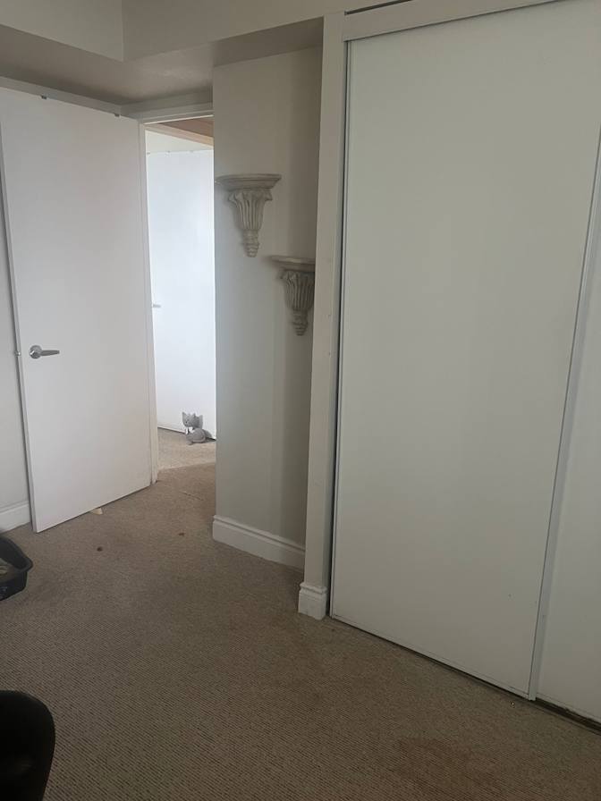 Christine's room