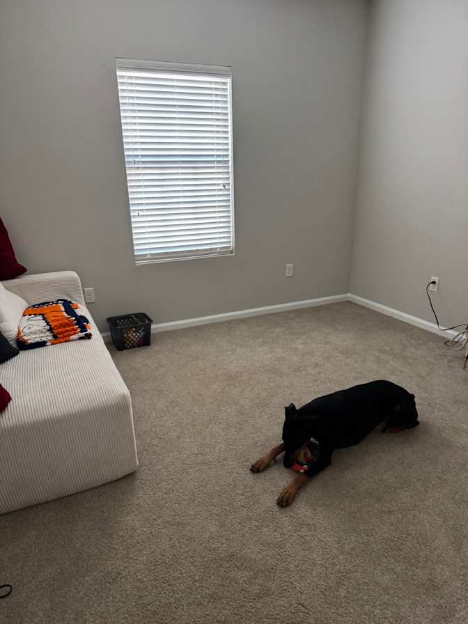 Dreka's room