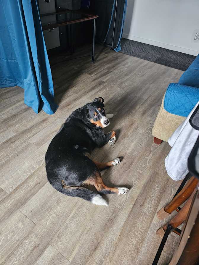Kirandeep's room