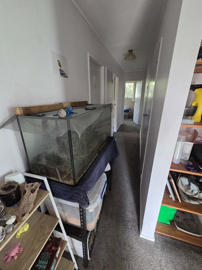 Liam's room