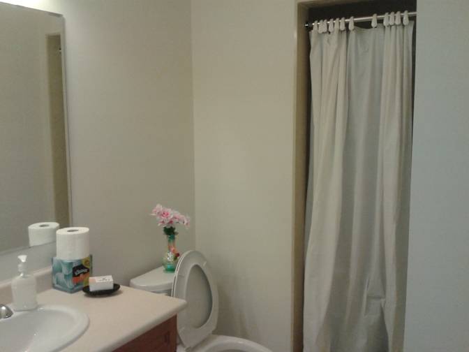 Shaheen's room