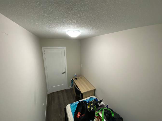 Pavel's room