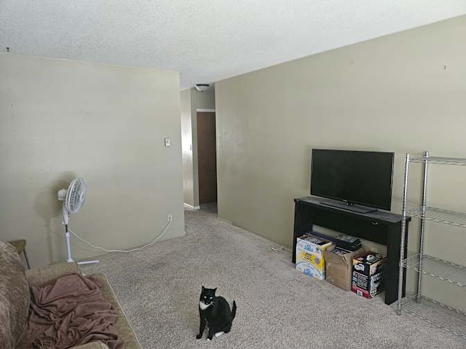 Craig's room