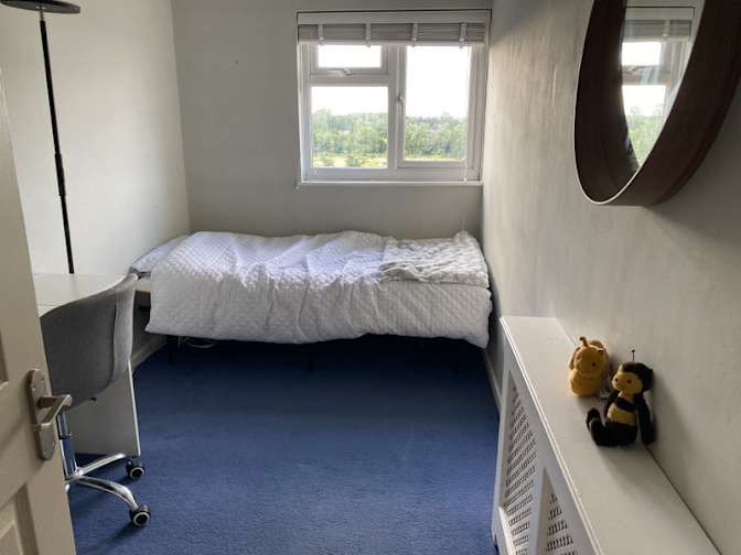 Amy's room