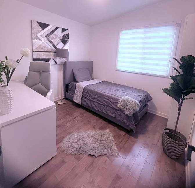 Majid's room
