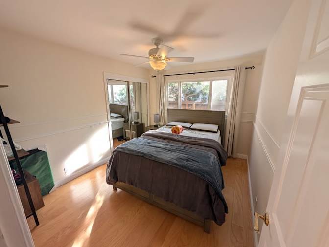 Robin Snedden's room