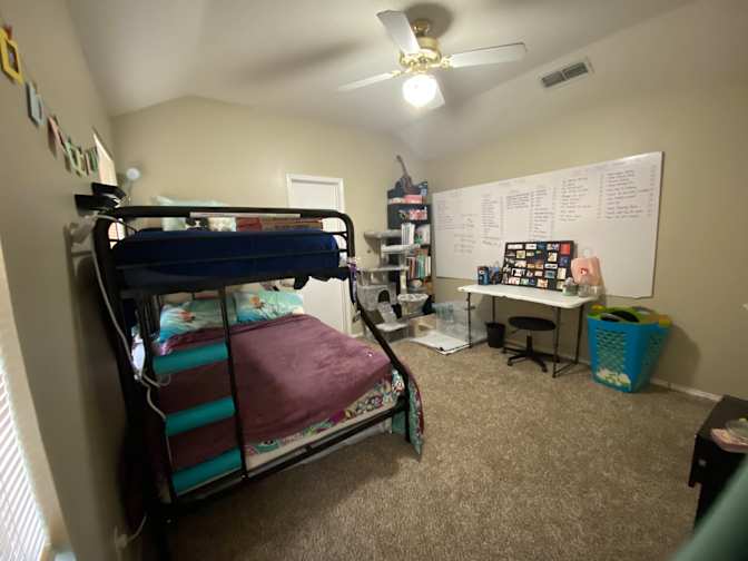 Rachel's room