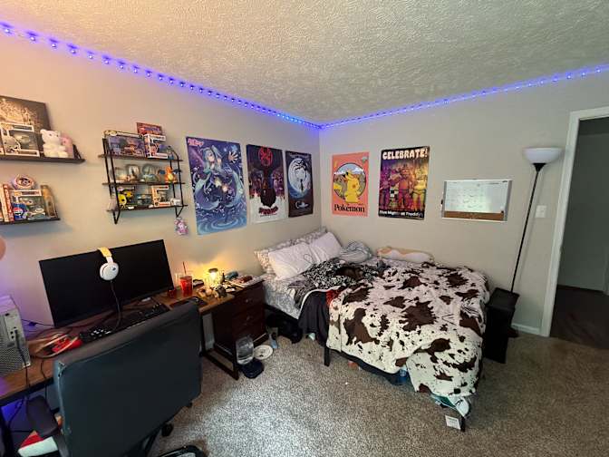 sebastian's room