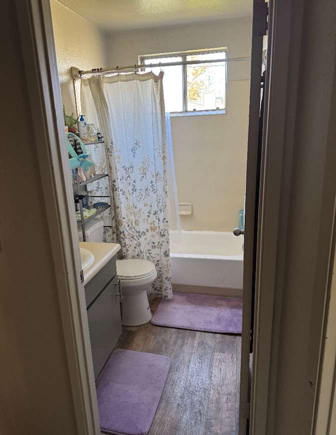 Zoe's room