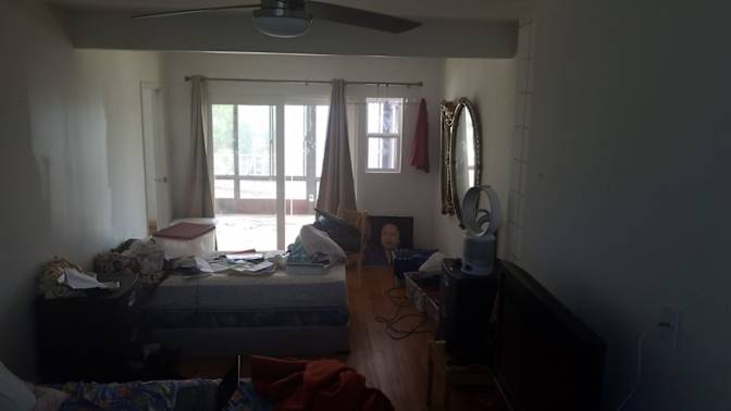 Buddy's room