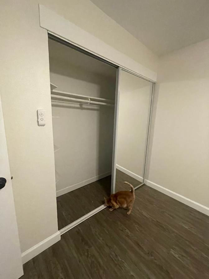 Teresa's room