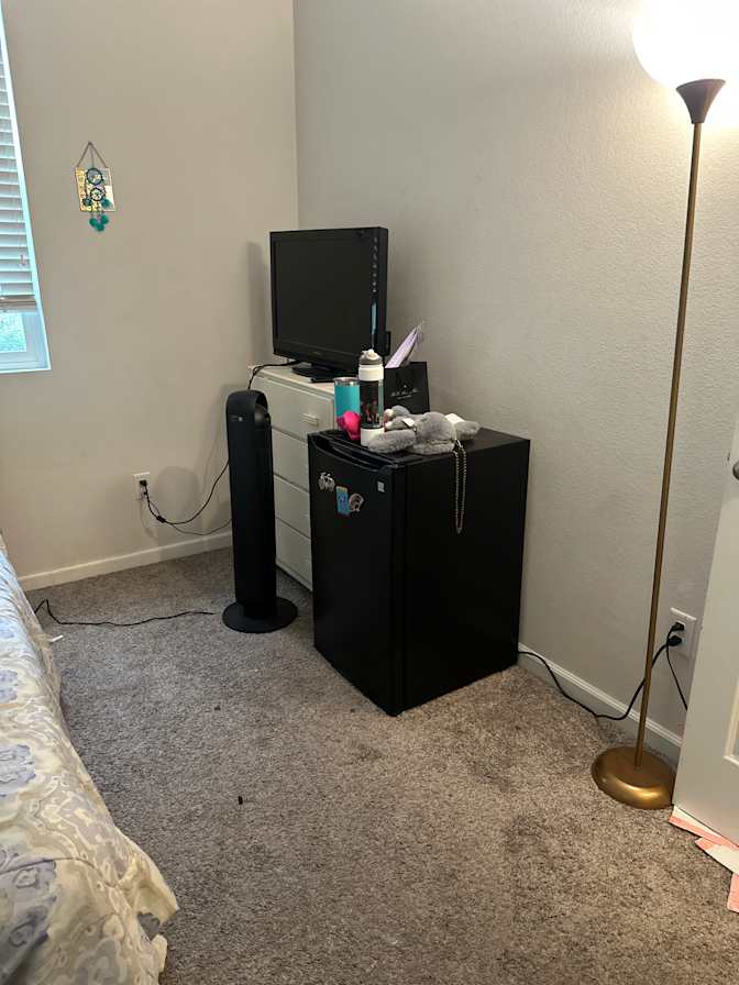 Sahar Sina's room