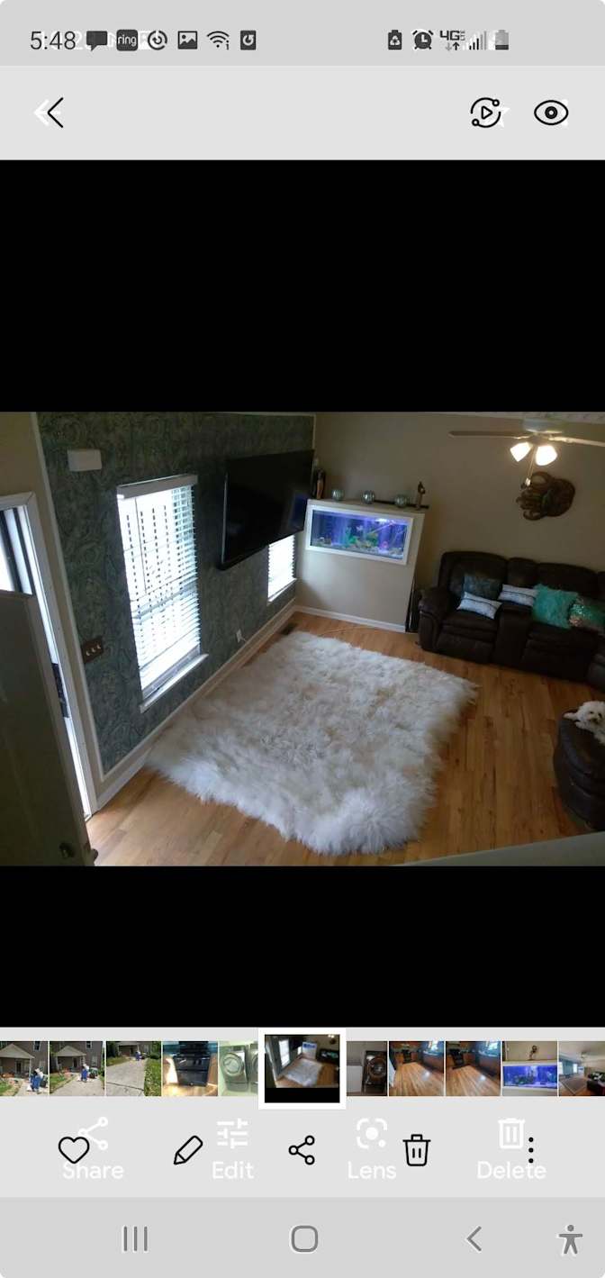 Bee's room