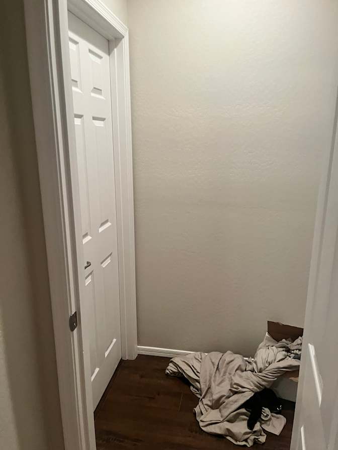 Rachelle's room