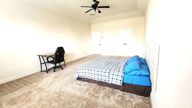 Mary's room