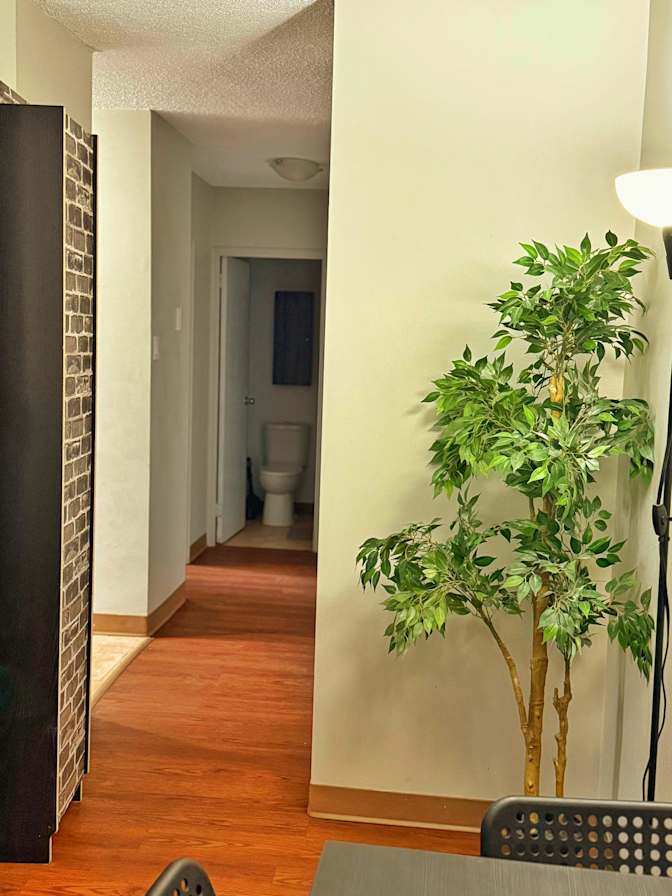 Eleftheri Denis's room