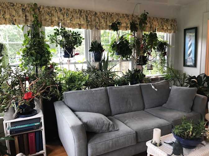 Roberta's room