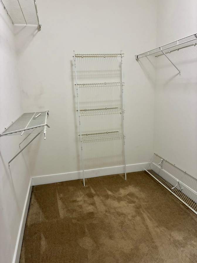 Jane's room