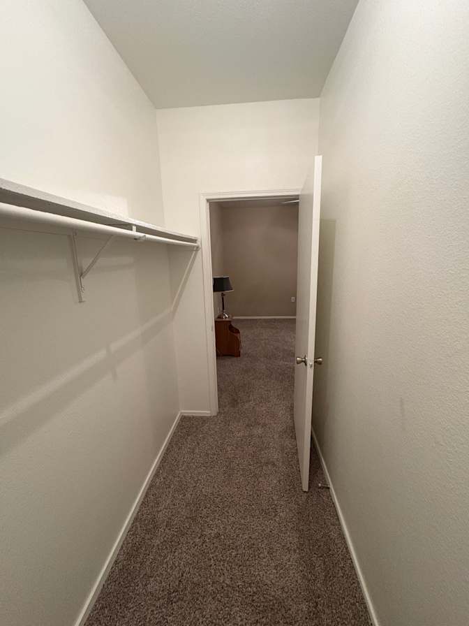 Sophia Ridley's room
