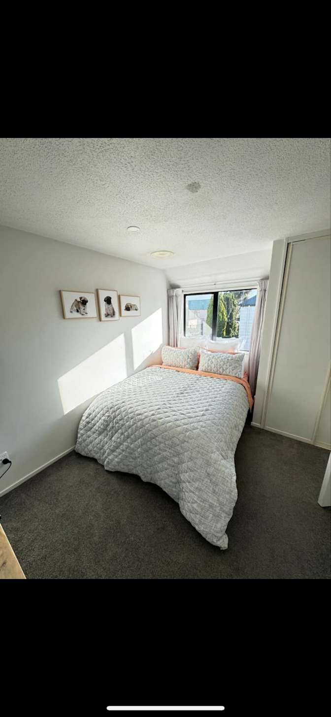 Silvi's room