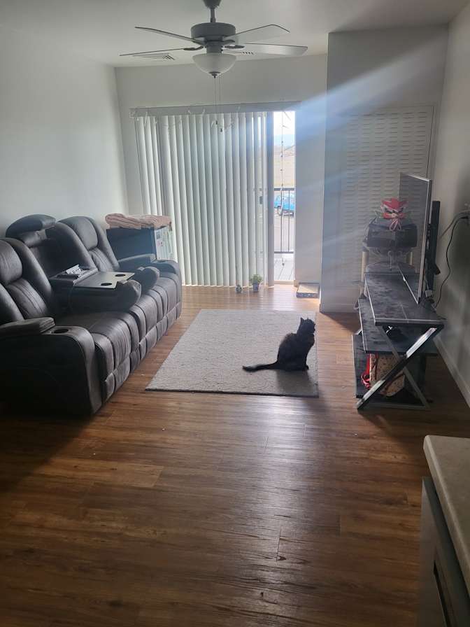Missy's room