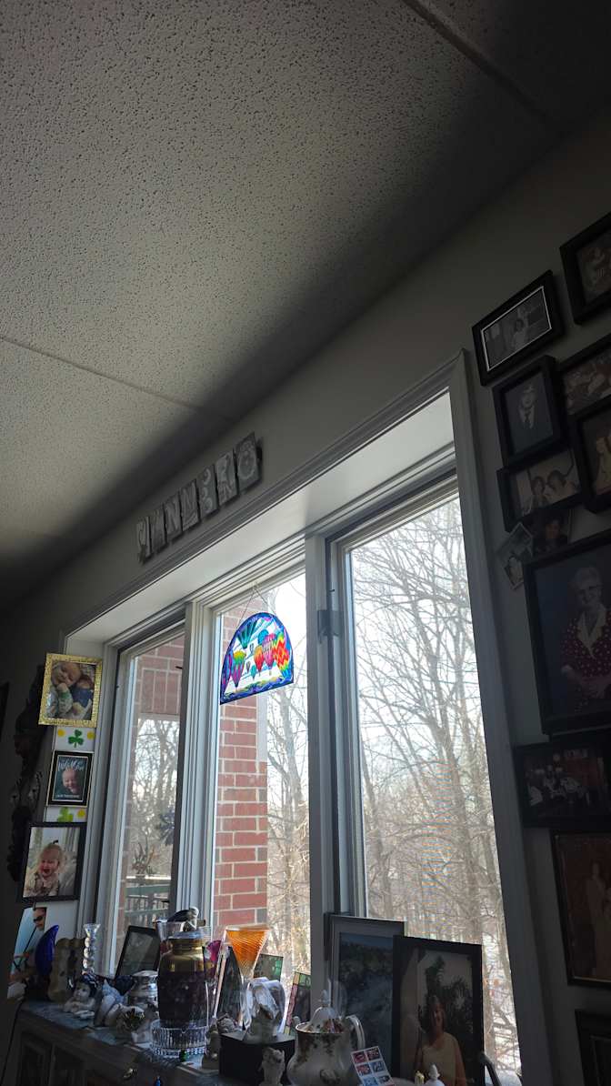 anne marie conroy's room