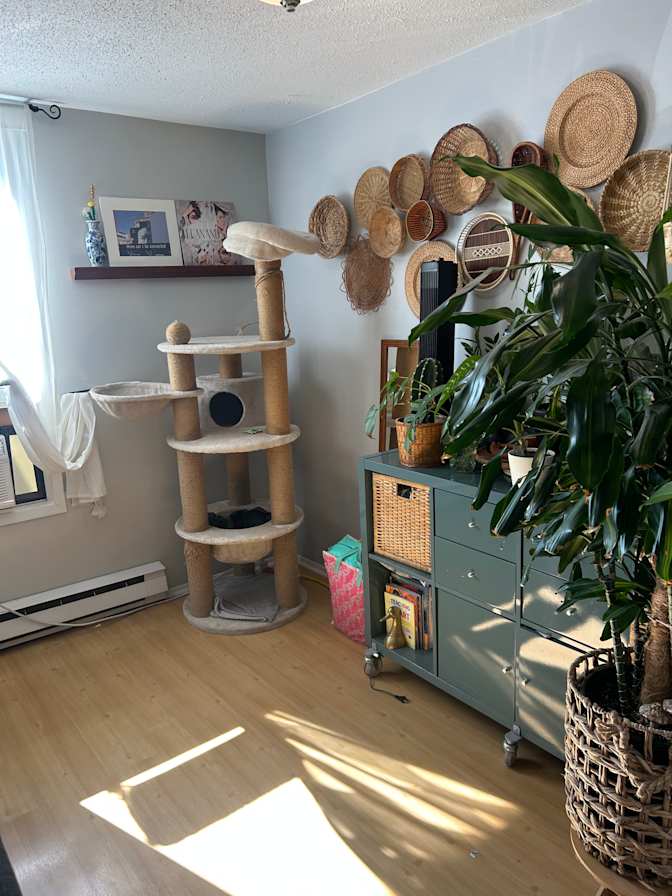 Brit Campbell's room