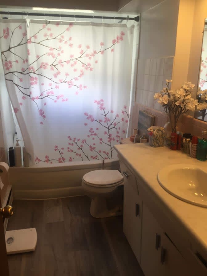 Shaelynn's room