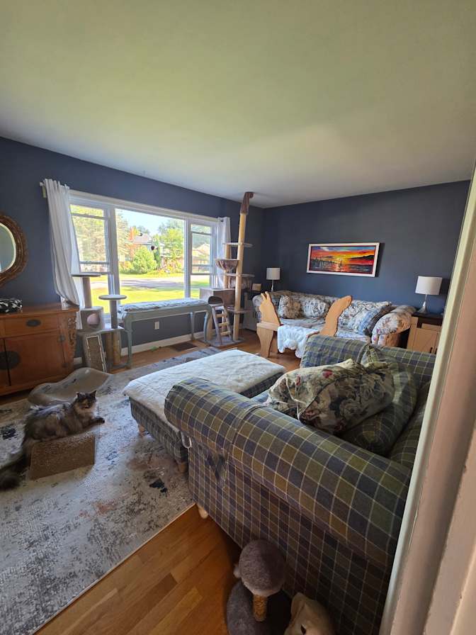 Mary-Sue's room