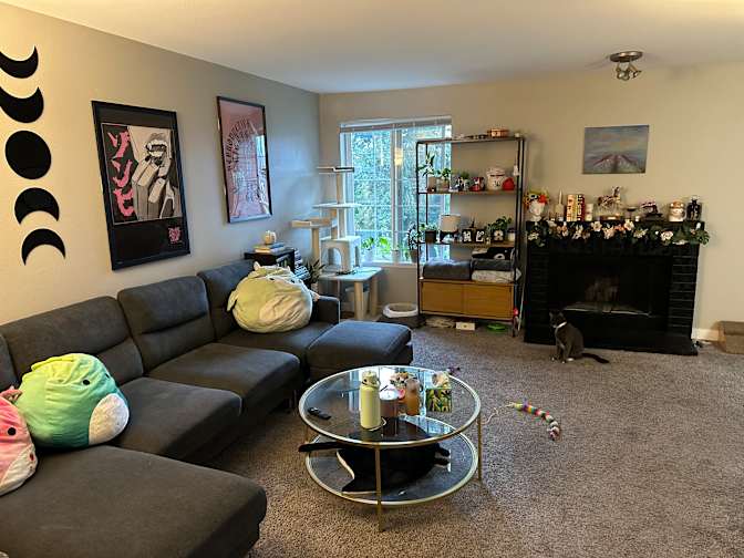 Joselyne A.'s room