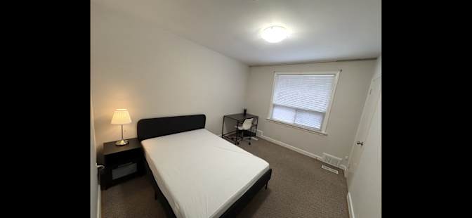 Lyubo Rave's room