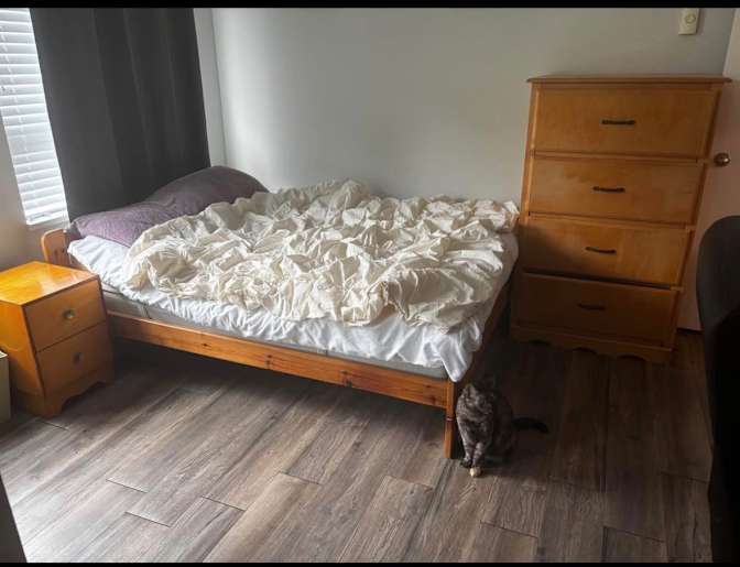 Amy's room